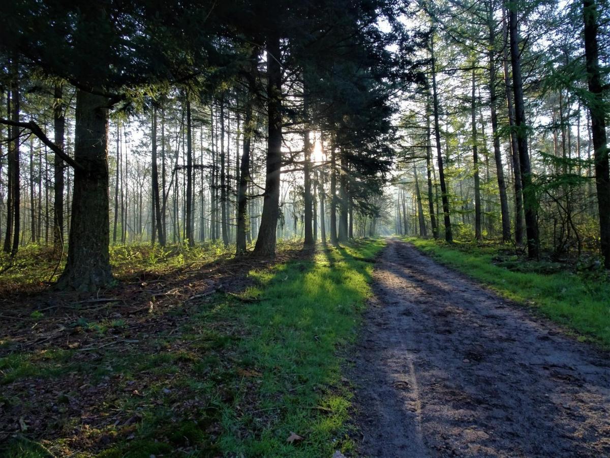 Veluwe Park Reewold Chalet Talisman Putten Eksteriør bilde